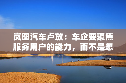 岚图汽车卢放：车企要聚焦服务用户的能力，而不是忽悠用户的能力