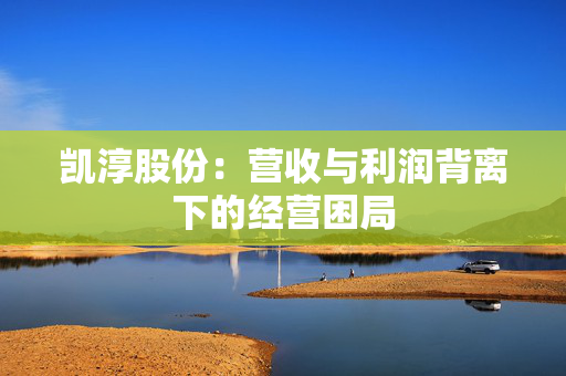 凯淳股份：营收与利润背离下的经营困局