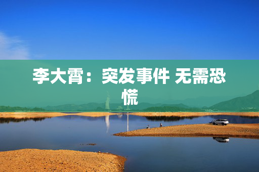 李大霄：突发事件 无需恐慌