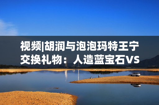 视频|胡润与泡泡玛特王宁交换礼物：人造蓝宝石VS绝版LABUBU 你觉得值吗？