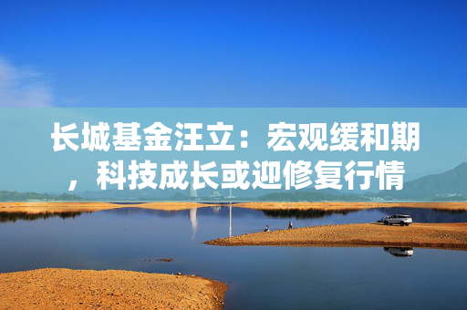 长城基金汪立：宏观缓和期，科技成长或迎修复行情