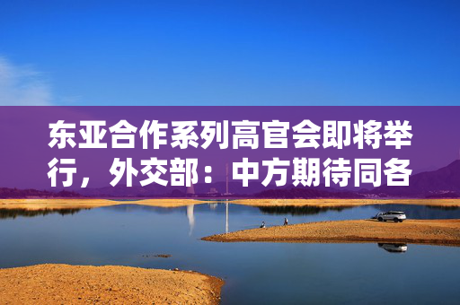 东亚合作系列高官会即将举行，外交部：中方期待同各方聚焦合作