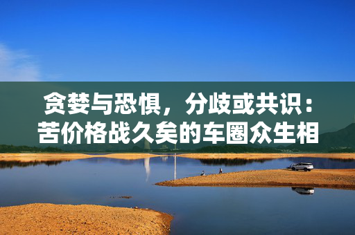 贪婪与恐惧，分歧或共识：苦价格战久矣的车圈众生相