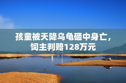 孩童被天降乌龟砸中身亡，饲主判赔128万元