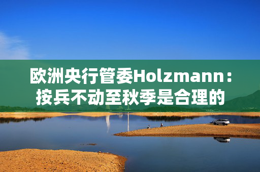 欧洲央行管委Holzmann：按兵不动至秋季是合理的