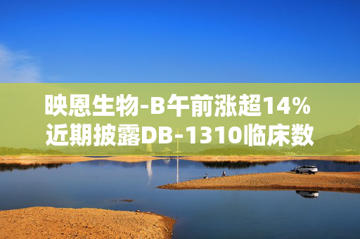 映恩生物-B午前涨超14% 近期披露DB-1310临床数据