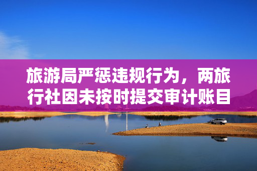 旅游局严惩违规行为，两旅行社因未按时提交审计账目遭吊销执照