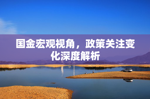 国金宏观视角，政策关注变化深度解析