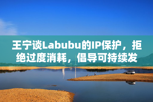 王宁谈Labubu的IP保护，拒绝过度消耗，倡导可持续发展之路