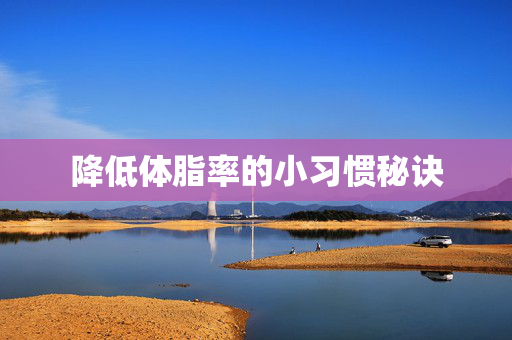 降低体脂率的小习惯秘诀