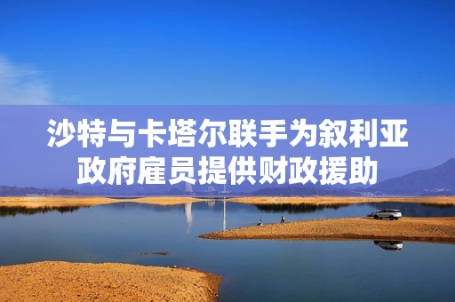 沙特与卡塔尔联手为叙利亚政府雇员提供财政援助