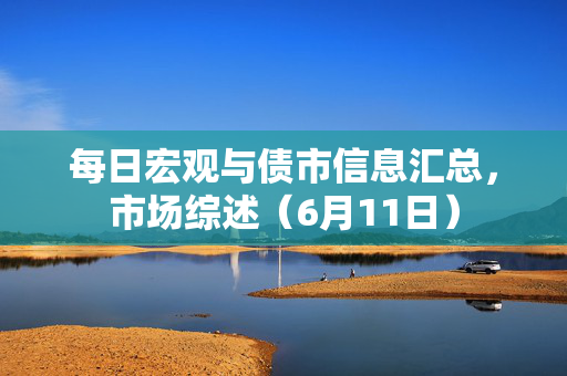 每日宏观与债市信息汇总，市场综述（6月11日）