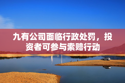 九有公司面临行政处罚，投资者可参与索赔行动