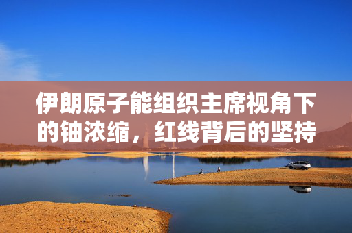 伊朗原子能组织主席视角下的铀浓缩，红线背后的坚持与挑战