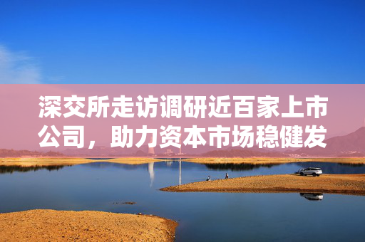 深交所走访调研近百家上市公司，助力资本市场稳健发展，共筑信心与信任之桥