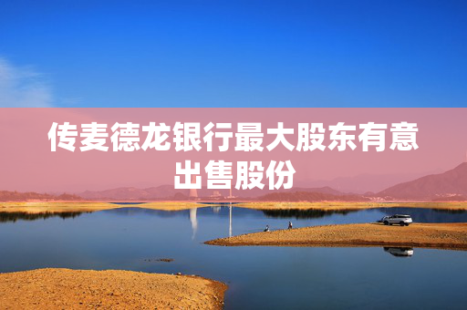 传麦德龙银行最大股东有意出售股份