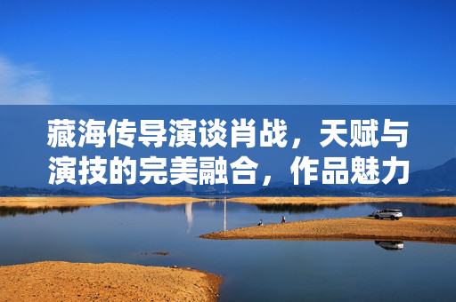 藏海传导演谈肖战，天赋与演技的完美融合，作品魅力非凡