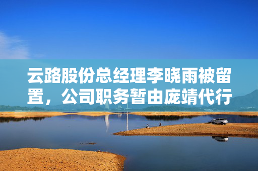云路股份总经理李晓雨被留置，公司职务暂由庞靖代行——非晶行业重大事件震动业界