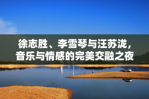 徐志胜、李雪琴与汪苏泷，音乐与情感的完美交融之夜