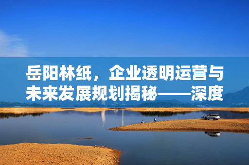 岳阳林纸，企业透明运营与未来发展规划揭秘——深度探究未披露计划