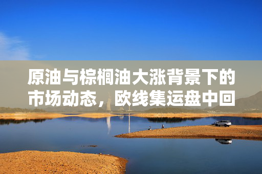 原油与棕榈油大涨背景下的市场动态，欧线集运盘中回落分析