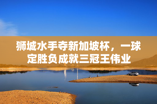 狮城水手夺新加坡杯，一球定胜负成就三冠王伟业