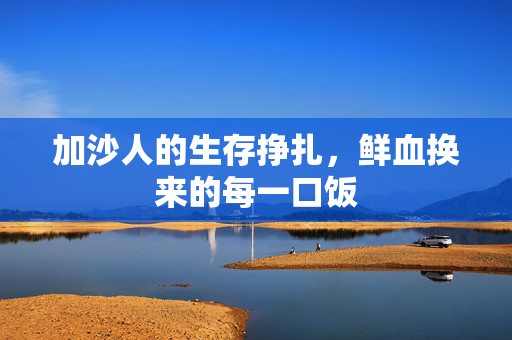 加沙人的生存挣扎，鲜血换来的每一口饭