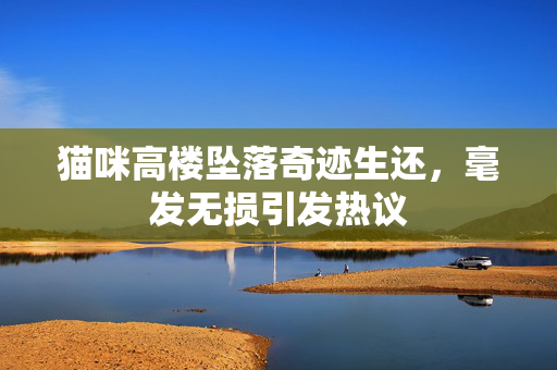 猫咪高楼坠落奇迹生还，毫发无损引发热议