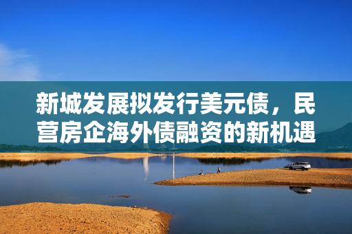 新城发展拟发行美元债，民营房企海外债融资的新机遇