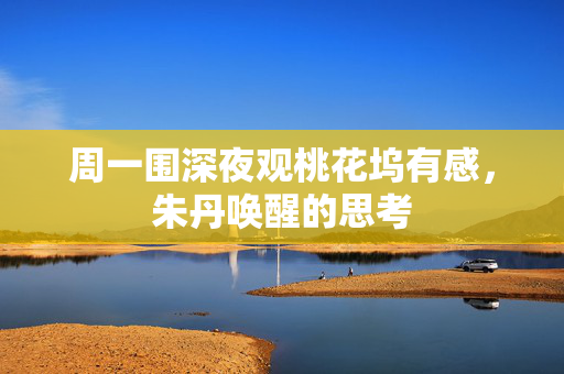 周一围深夜观桃花坞有感，朱丹唤醒的思考