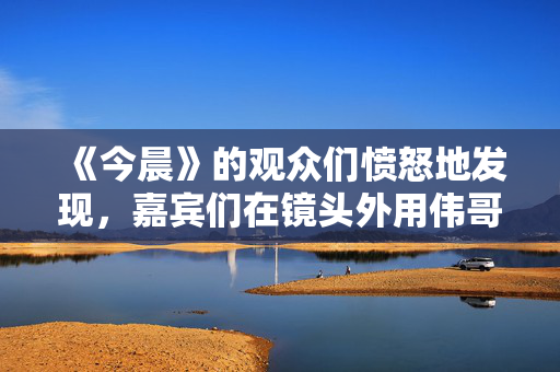 《今晨》的观众们愤怒地发现，嘉宾们在镜头外用伟哥刺激性爱