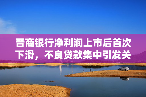 晋商银行净利润上市后首次下滑，不良贷款集中引发关注