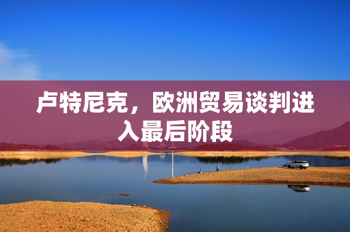 卢特尼克，欧洲贸易谈判进入最后阶段