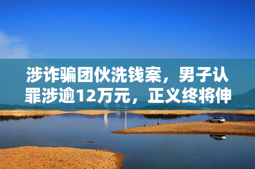 涉诈骗团伙洗钱案，男子认罪涉逾12万元，正义终将伸张