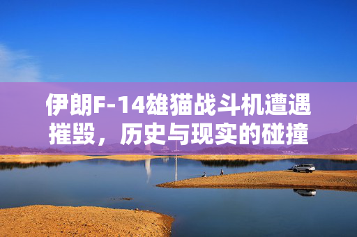 伊朗F-14雄猫战斗机遭遇摧毁，历史与现实的碰撞
