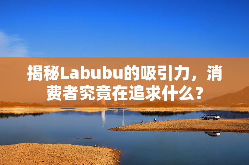 揭秘Labubu的吸引力，消费者究竟在追求什么？