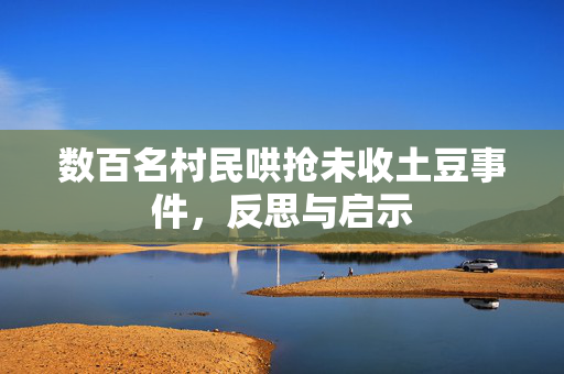 数百名村民哄抢未收土豆事件，反思与启示