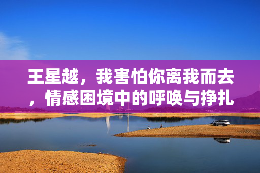王星越，我害怕你离我而去，情感困境中的呼唤与挣扎