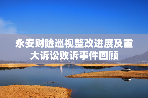 永安财险巡视整改进展及重大诉讼败诉事件回顾