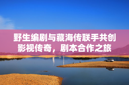 野生编剧与藏海传联手共创影视传奇，剧本合作之旅