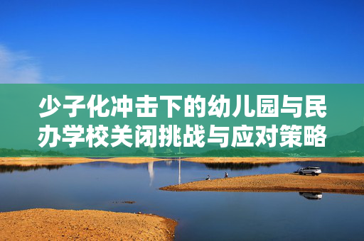 少子化冲击下的幼儿园与民办学校关闭挑战与应对策略