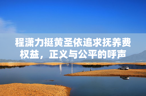 程潇力挺黄圣依追求抚养费权益，正义与公平的呼声