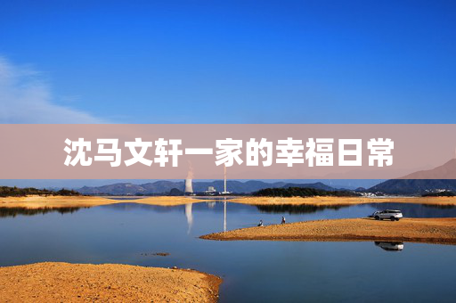 沈马文轩一家的幸福日常
