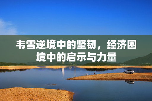 韦雪逆境中的坚韧，经济困境中的启示与力量
