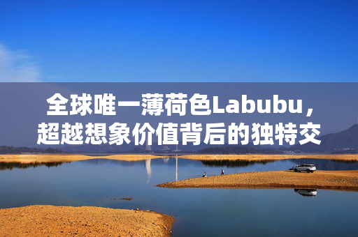 全球唯一薄荷色Labubu，超越想象价值背后的独特交易故事