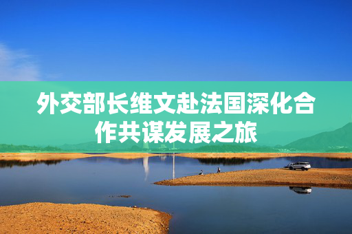外交部长维文赴法国深化合作共谋发展之旅