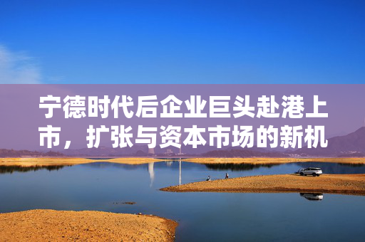 宁德时代后企业巨头赴港上市，扩张与资本市场的新机遇挑战