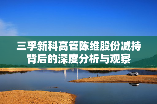 三孚新科高管陈维股份减持背后的深度分析与观察 三孚新科高管陈维股份减持背后的深度分析与观察