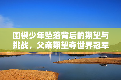 围棋少年坠落背后的期望与挑战，父亲期望夺世界冠军之路
