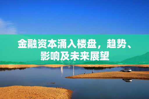 金融资本涌入楼盘，趋势、影响及未来展望